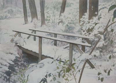 Winter Woods